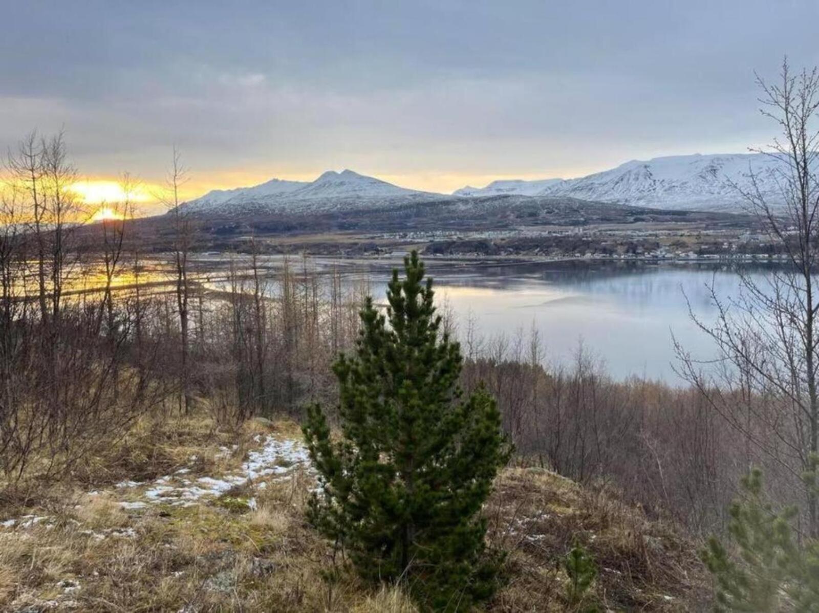 Cozy 2 Bedroom Cottage With Hot Tub Akureyri Esterno foto
